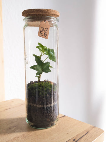 Terrarium XS - Mini Weckglas mit Korkdeckel