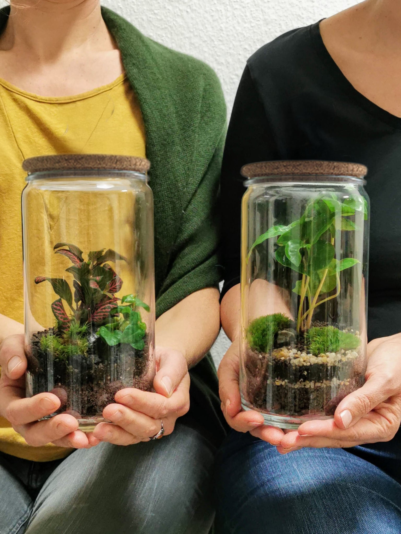 DIY Terrarium Kit für zwei - Bonbonglas