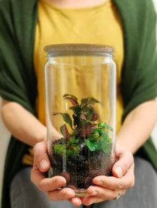 DIY Terrarium Bar - 14.02.2025 - DE/ENG